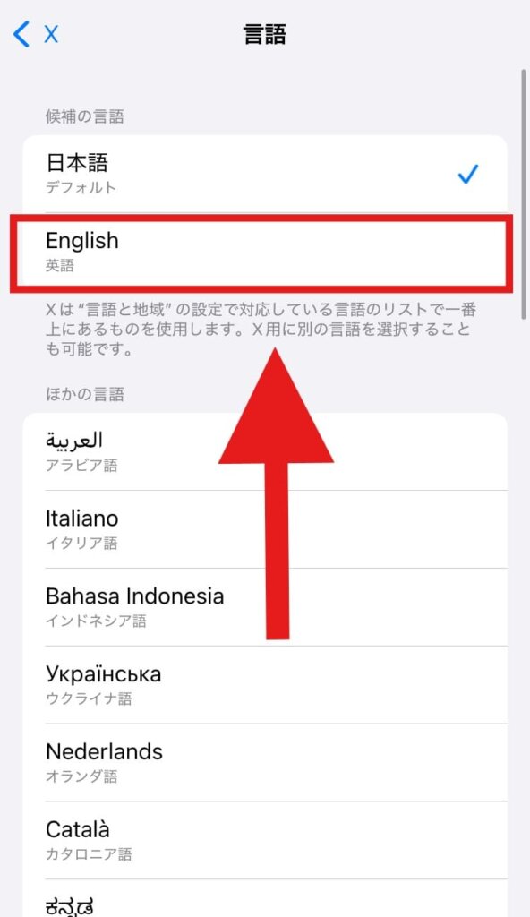 X(Twitter) 表示言語