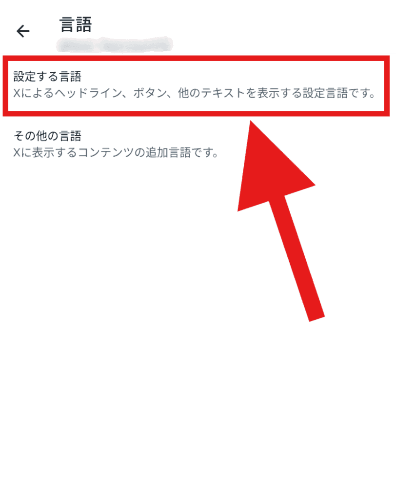 X(Twitter) 表示言語