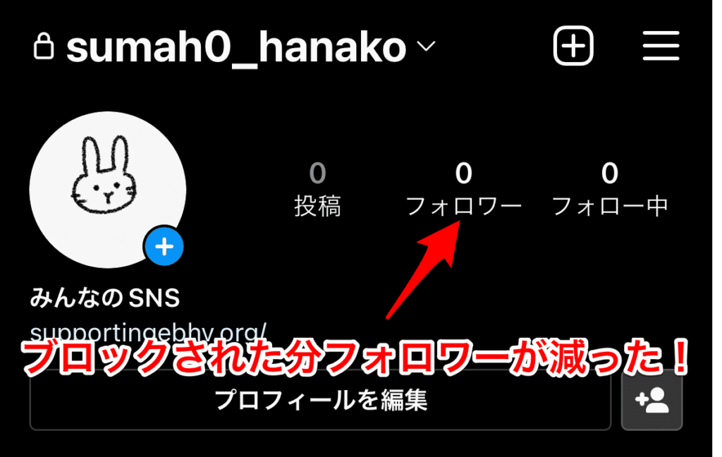 インスタ ブロック 検証
