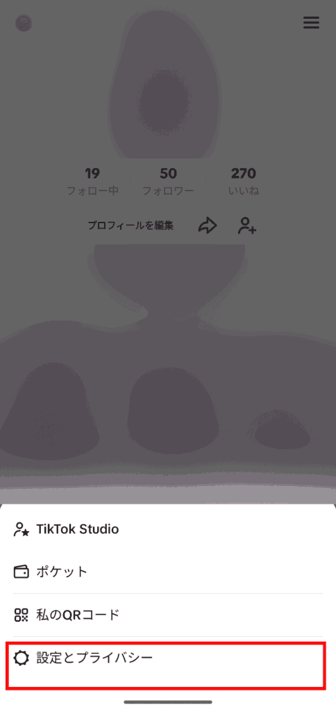 TikTok 設定とプライバシー