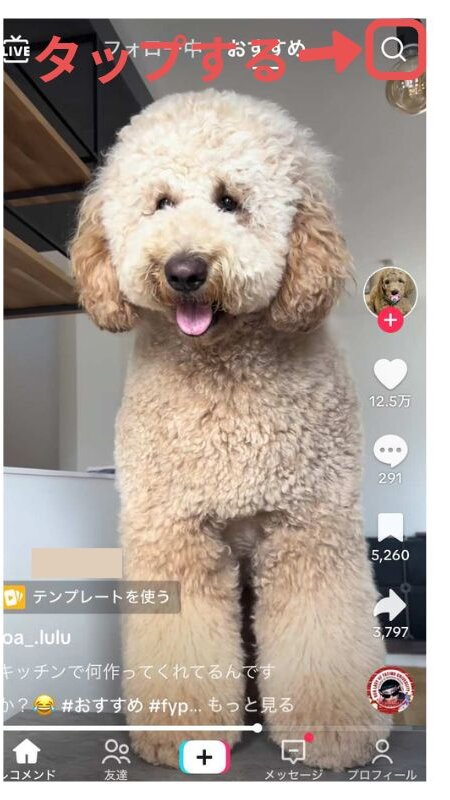 TikTok 検索